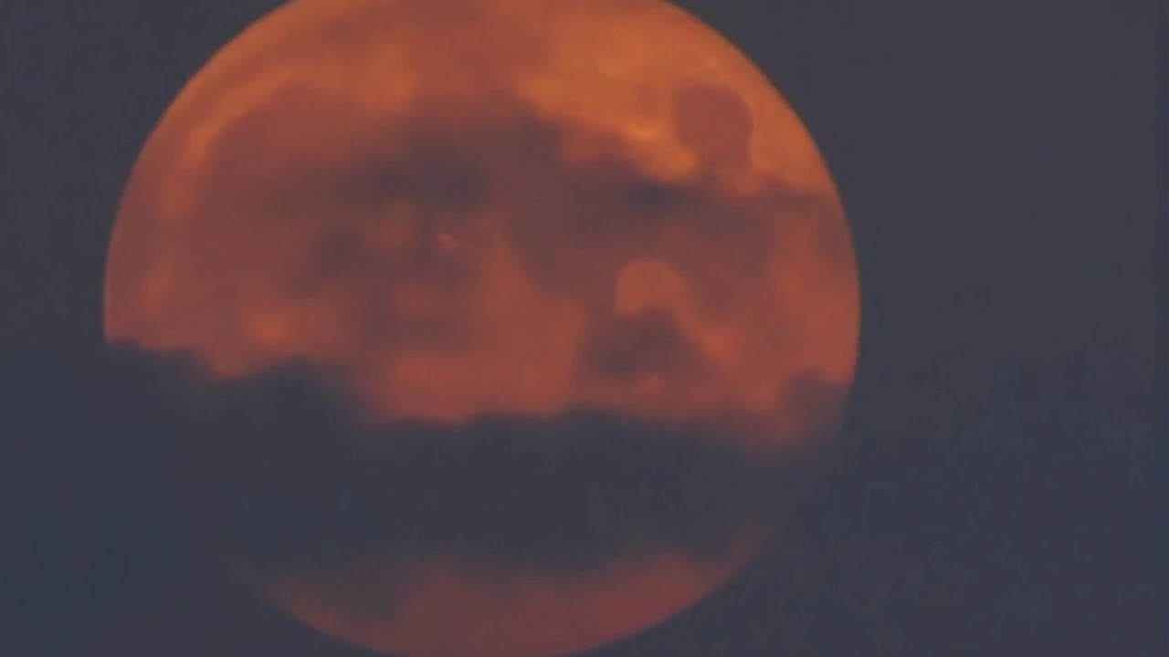 Deer Moon (Lua do Veado) vai brilhar nos céus do Brasil em 10 de julho de 2025